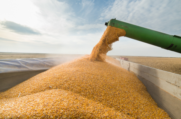 Армения продлила запрет на экспорт зерна на 6 месяцев