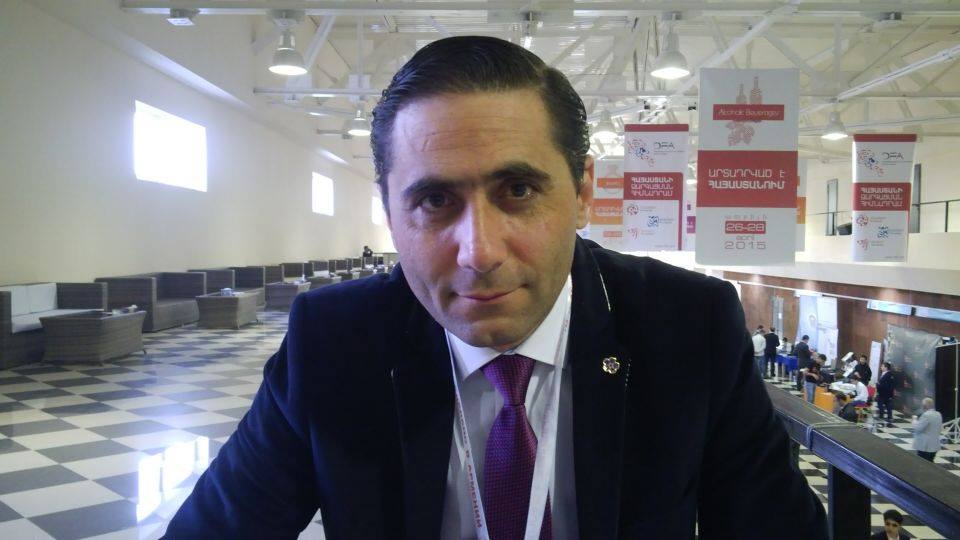 Любые реформы должны учитывать риск раскола в обществе - армянский депутат 