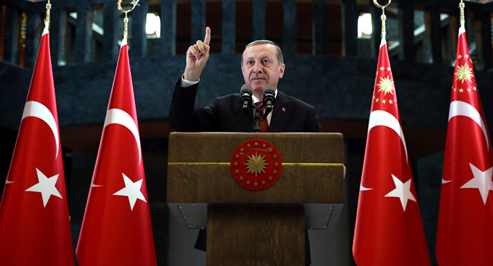 Правительство Турции передало власть Эрдогану