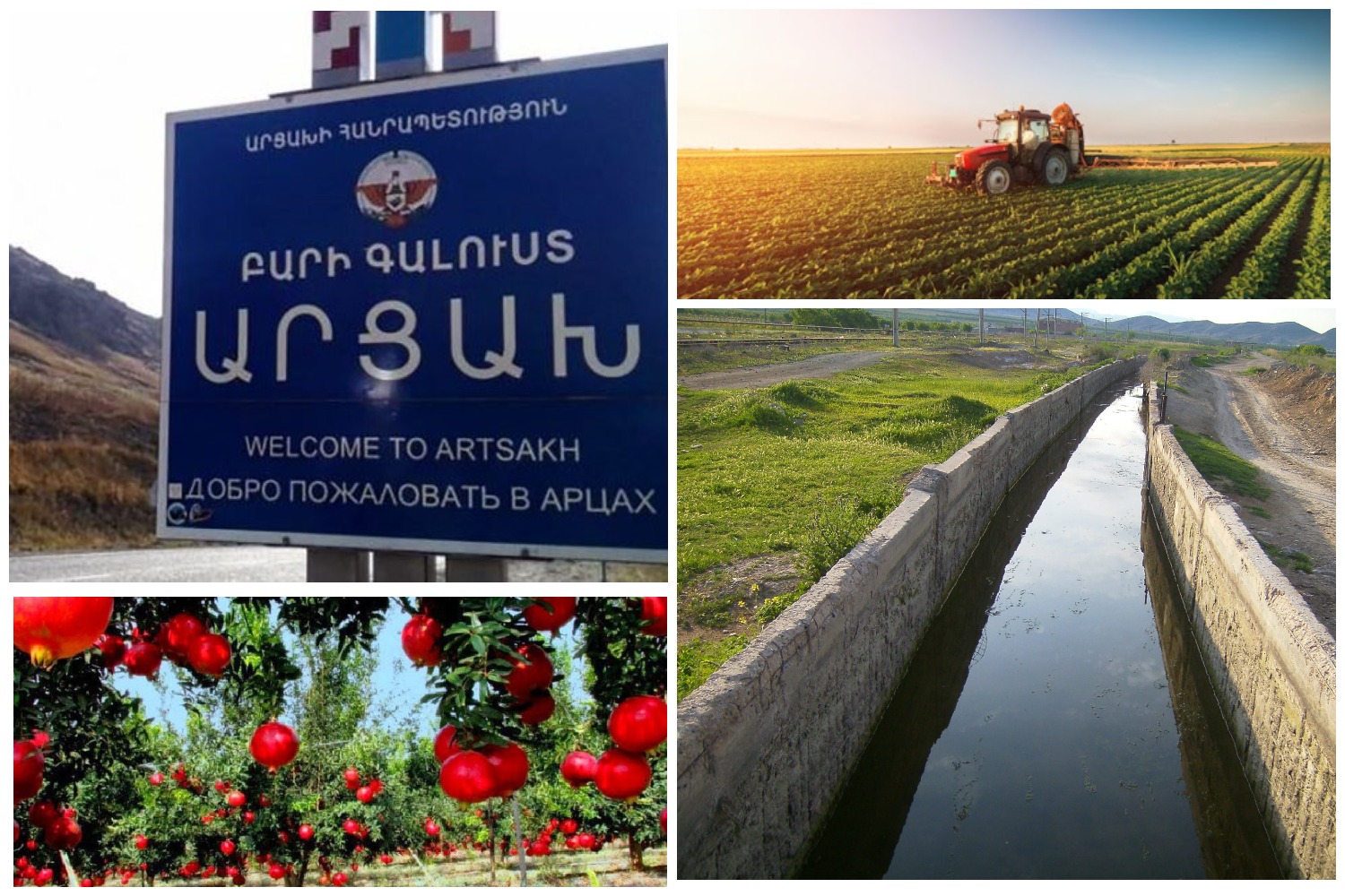 Более 15 тысяч га пахотных земель Мартунийского района Арцаха остались под контролем Баку