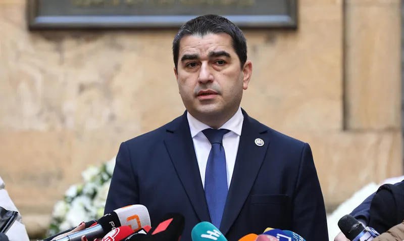«Саботаж» – спикер парламента Грузии ответил на обвинения НПО и СМИ по теме оползня