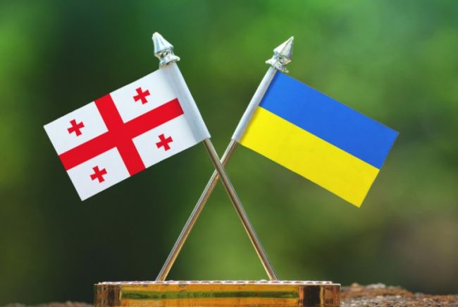 Глава МИД Грузии: Стратегическое партнерство с Украиной не подлежит пересмотру 