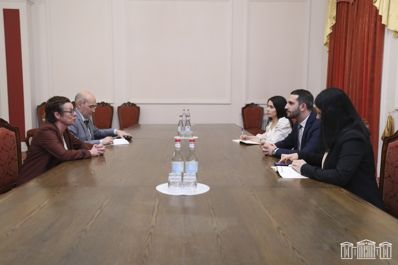 Рубен Рубинян и посол Франции обсудили процесс диалога между Арменией и Турцией