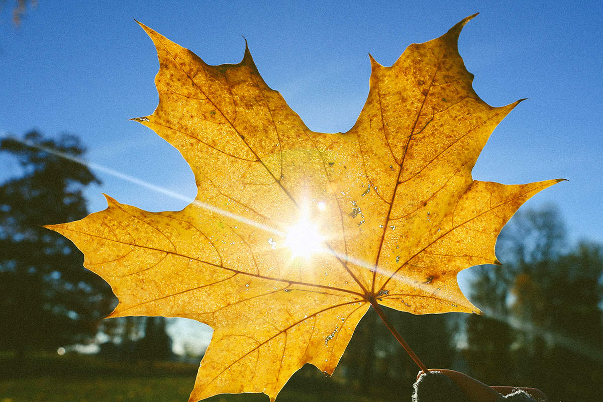 Օդի ջերմաստիճանը կրկին կբարձրանա