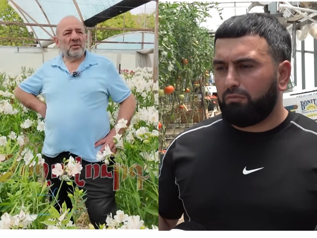 Կոլաժը` VERELQ