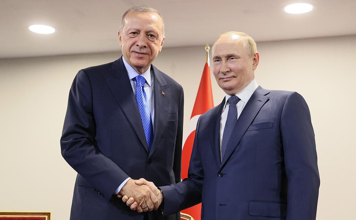 Эрдоган на встрече с Путиным попросит о скидке на газ - СМИ