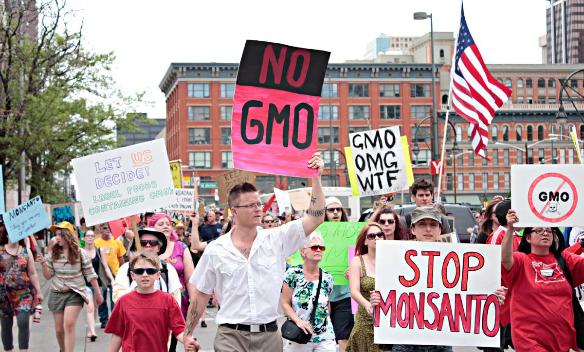Американский ГМО-гигант укрепляет свои позиции в Армении: что дальше?