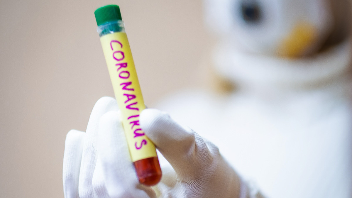 В Арцахе еще шесть человек заразились новым коронавирусом