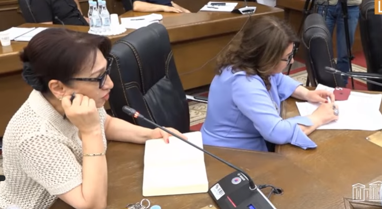 От отчёта к перепалке: спор между женщинами-депутатами фракций «ГД» и «Армения»