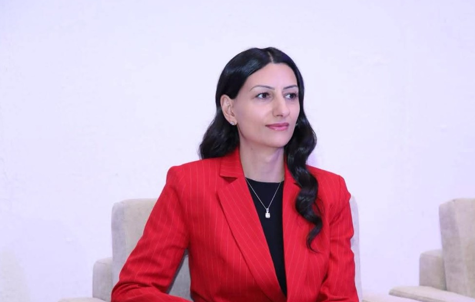 ՀՀ ՄԻՊ-ը դատապարտել է ընտանեկան բռնությունն արդարացնող խոսույթը