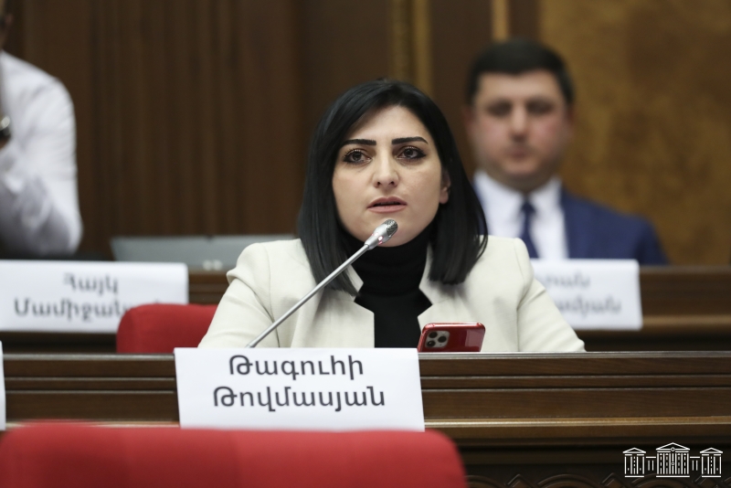 В оппозиции ставят под сомнение легитимность выборов в Совет Старейшин Еревана