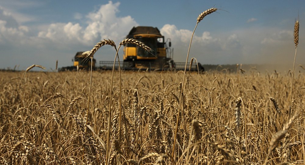 Грузия отсрочила запрет на ввоз зерновых до октября