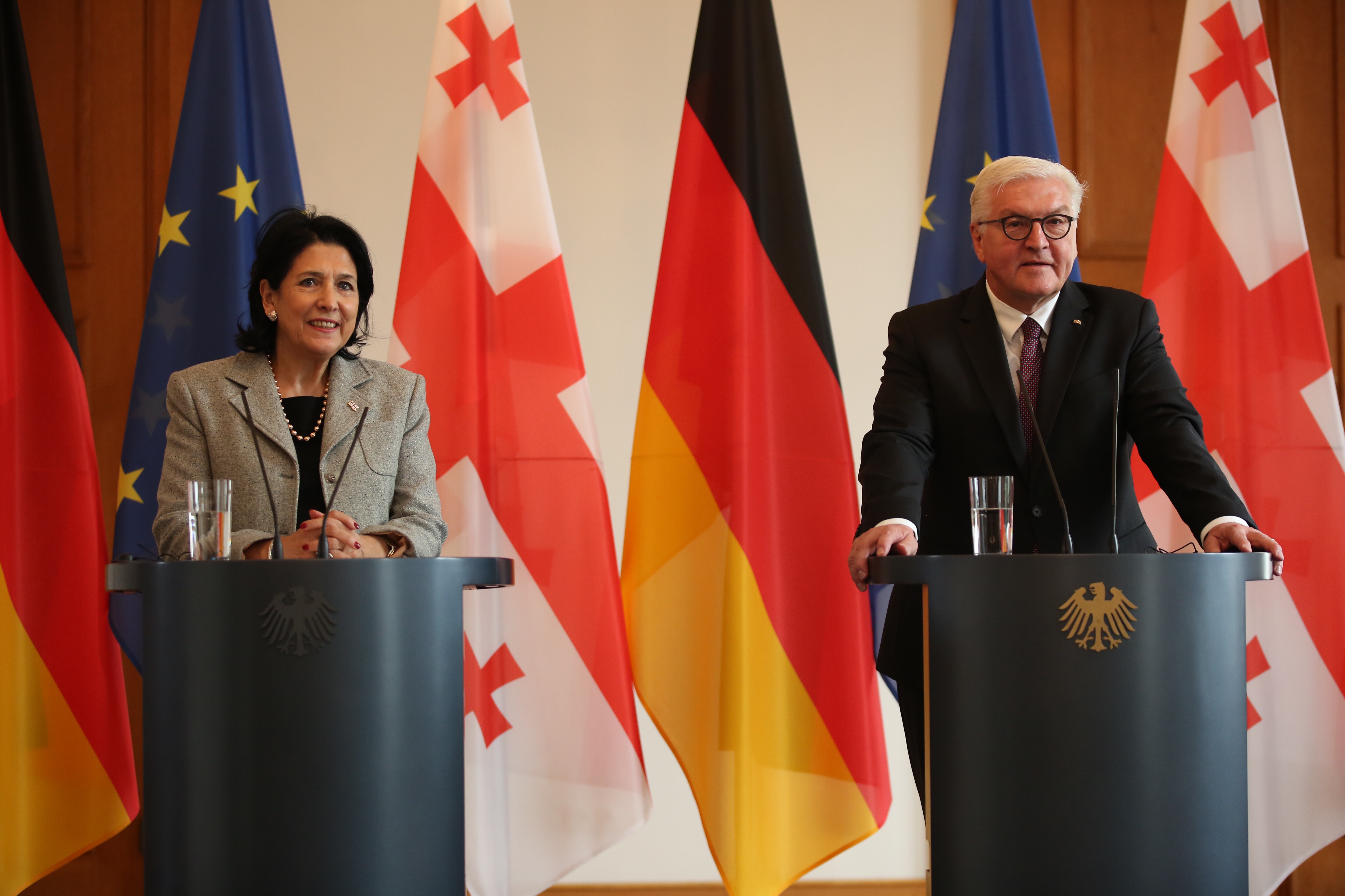 Штайнмайер: Германия поддерживает стремление Грузии в ЕС и НАТО