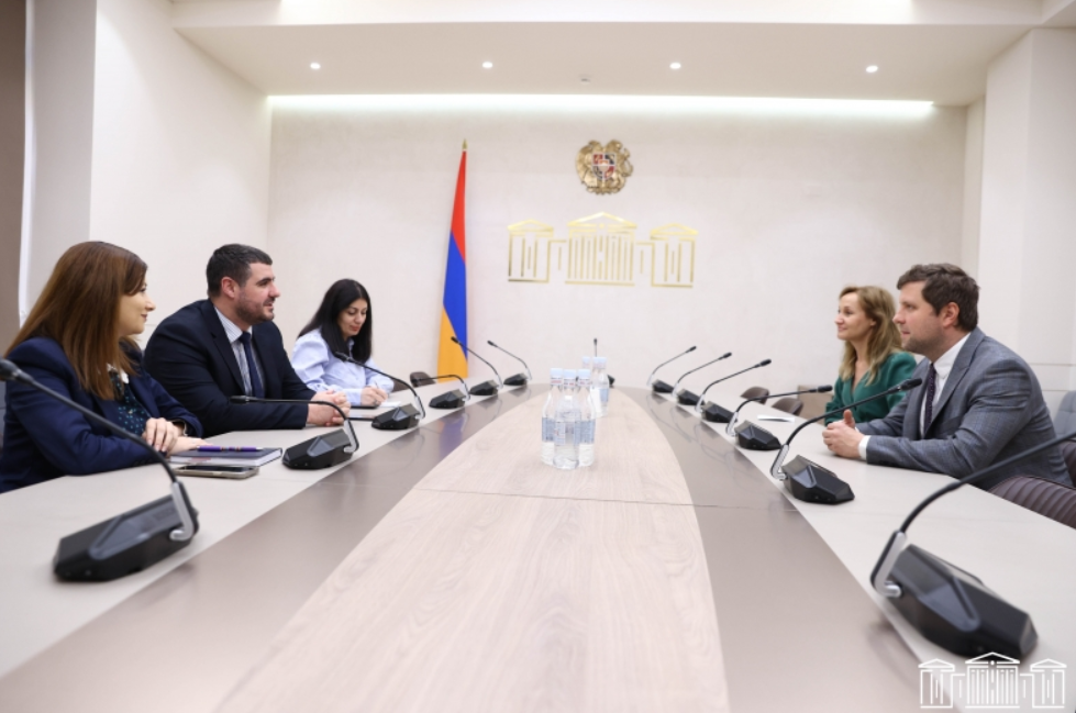 Արման Եղոյանն ընդունել է Միջազգային հարաբերությունների լեհական կենտրոնի ներկայացուցչին