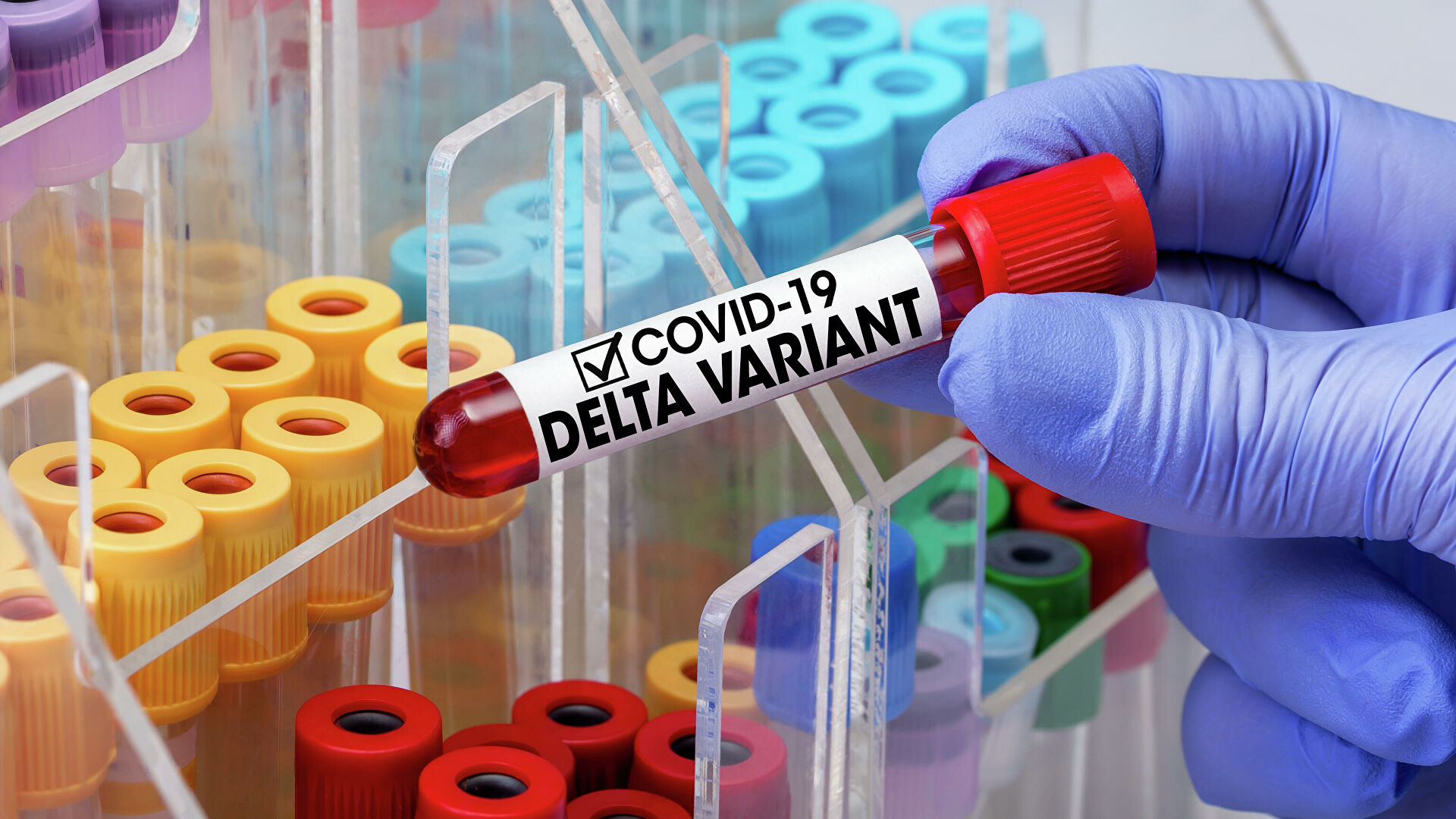 В России обнаружен новый вариант дельта-штамма коронавируса AY.4.2