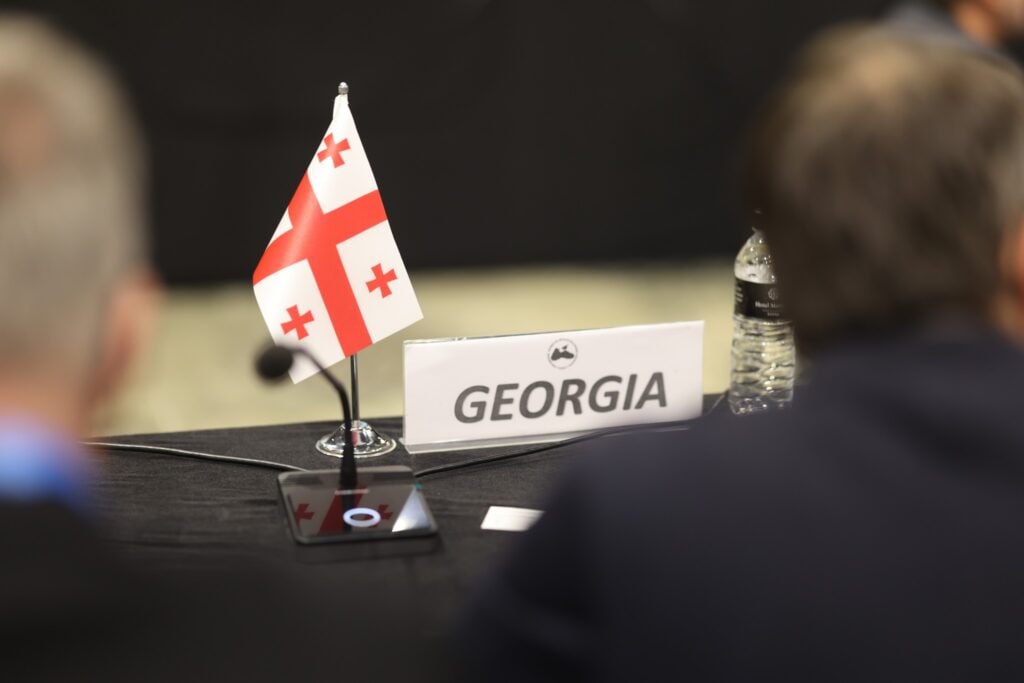 Грузия стала следующей страной-председателем Парламентской ассамблеи ОЧЕС 