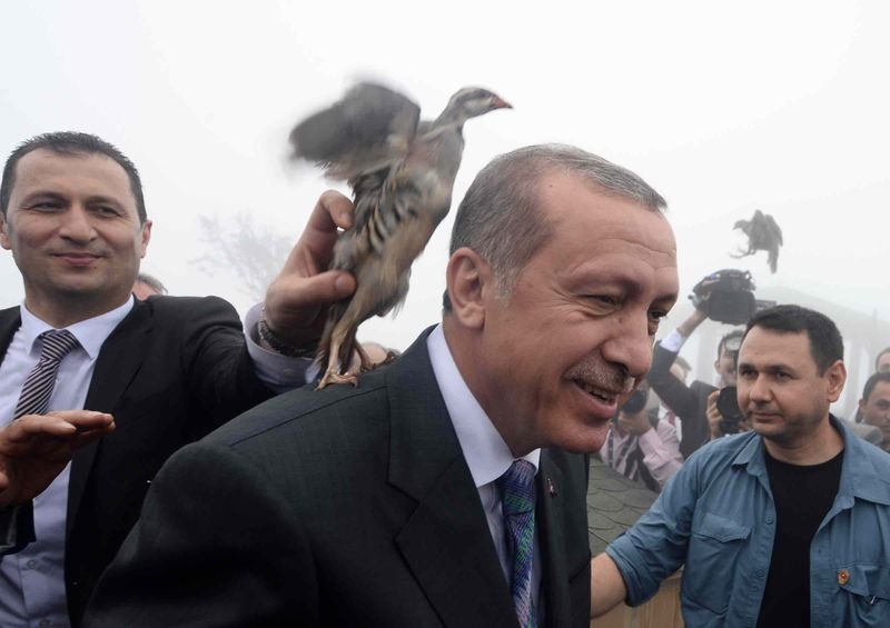 Пять фронтов Эрдогана: От курдов до внутренней оппозиции 