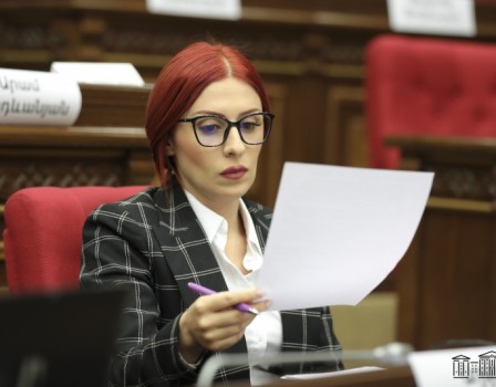Пашинян отшутился на вопрос депутата о подготовке Мирзояна к роли 