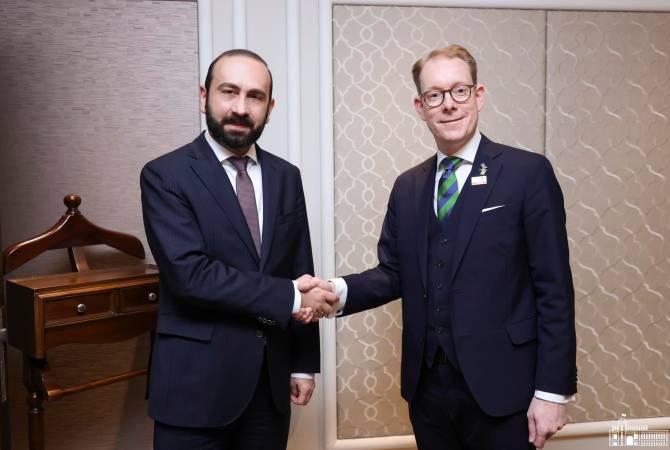 Мирзоян представил министру иностранных дел Швеции гуманитарную ситуацию в Арцахе