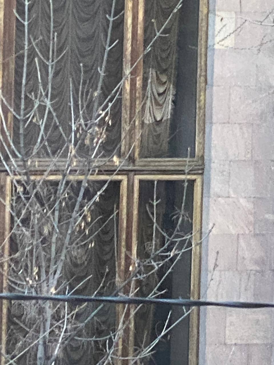 Родственник без вести пропавшего военнослужащего разбил камнем окно здания правительства