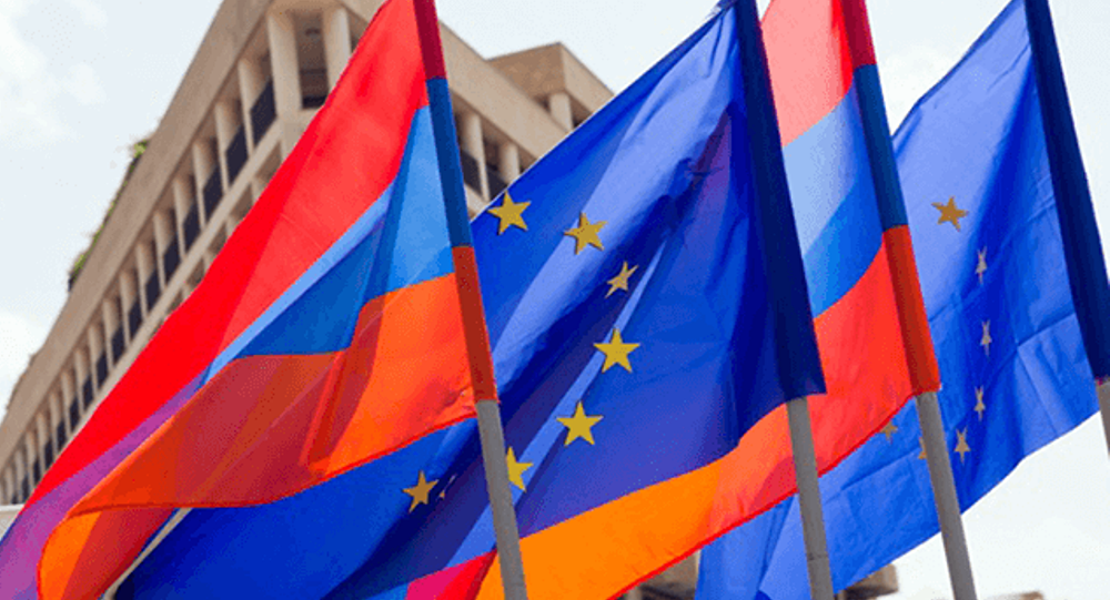 «Евронест» принял срочную резолюцию по Армении - Ашотян