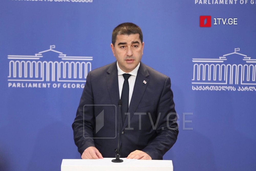  «Мяч на стороне» Брюсселя – Папуашвили ответил генсеку НАТО  