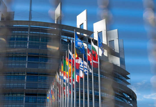 ԵԽ-ն հավանություն է տվել հայկական արտադրանքի համար առևտրի ազատականացման միջոցներին