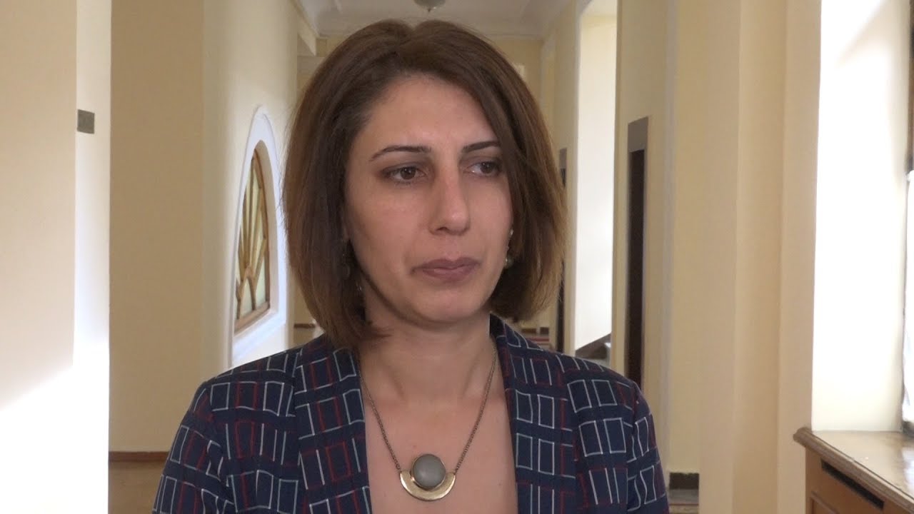Софья Овсепян: В Армении нет власти, есть лишь оппозиция и еще оппозиция