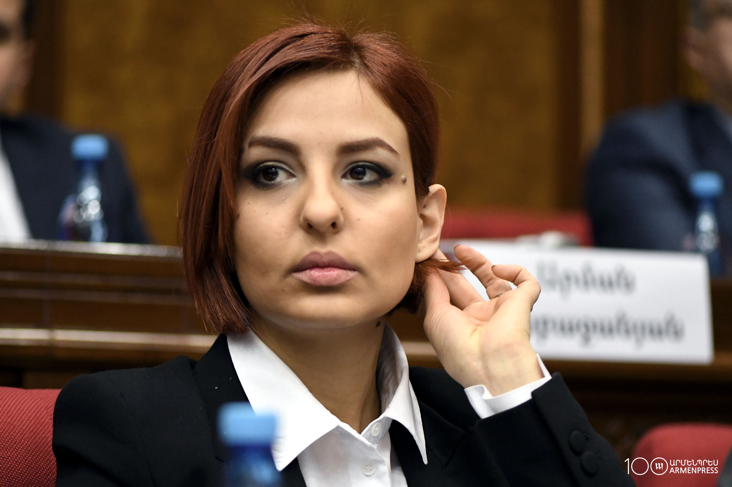 Армянский депутат: «Миролюбивое» поведение Азербайджана - опасная ловушка