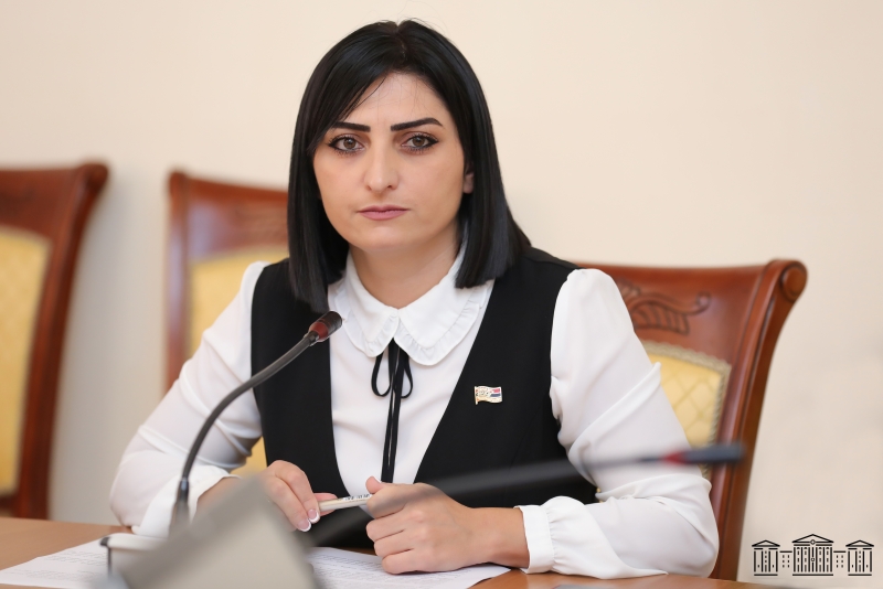 Дайте публичную оценку очередному преступлению Баку: Товмасян - международным партнерам