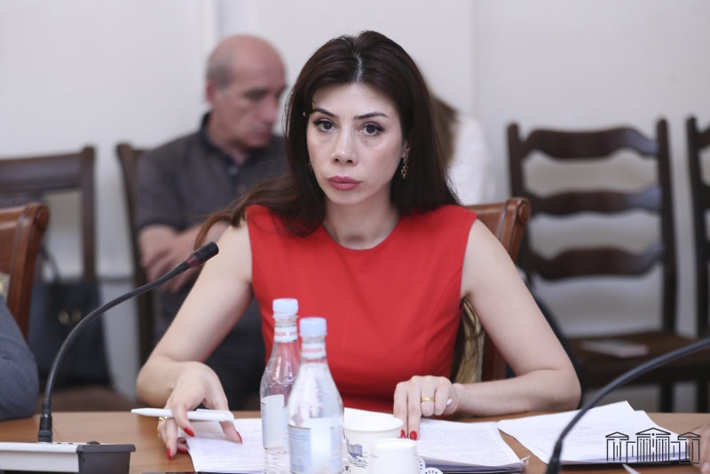 «Сopy-paste» - одна из причин, почему законы в Армении остаются лишь на бумаге - депутат