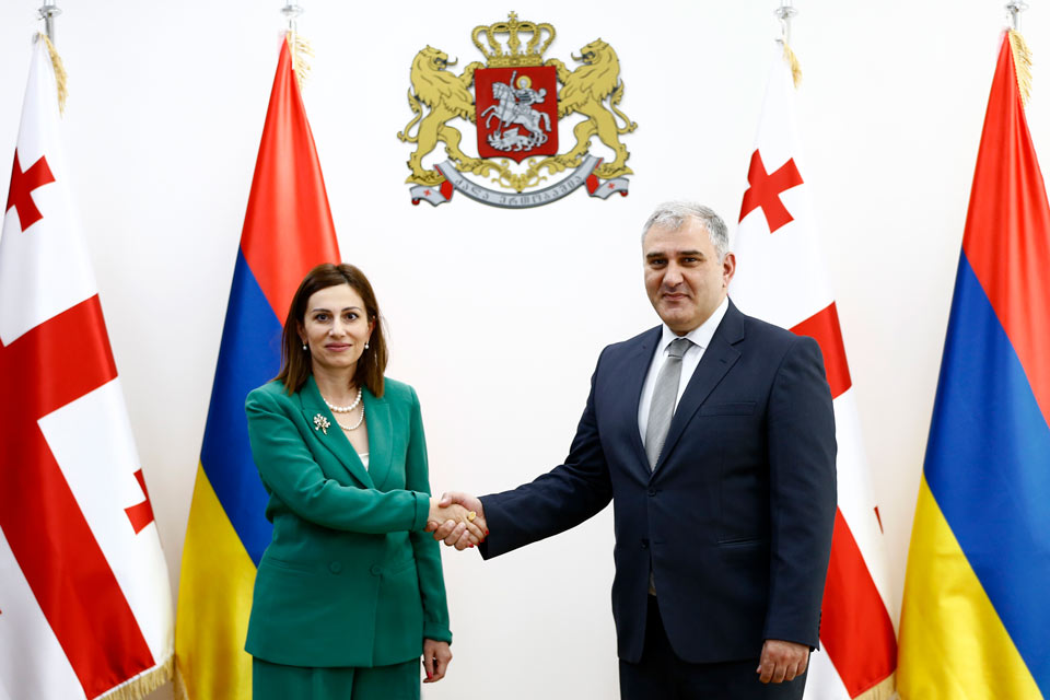 Главы минздравов Армении и Грузии договорились об углублении сотрудничества 