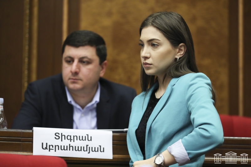 В Армении все процессы направлены лишь на оправдание Никола Пашиняна – депутат