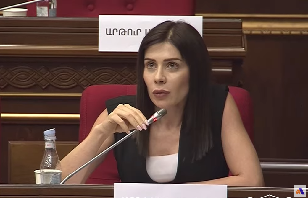 Քննչականն ու ՊԵԿ-ը՝ իշխանության «պատժիչ ջոկատ»