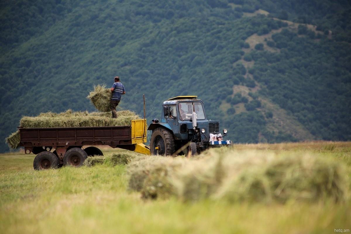 Чем отличается хозяйственная деятельность людей в горах. Сельское хозяйство Армении 2021. Аграрный сектор Армении. Сельскохозяйственная земледелие Армении. Сельское хозяйство Грузии.