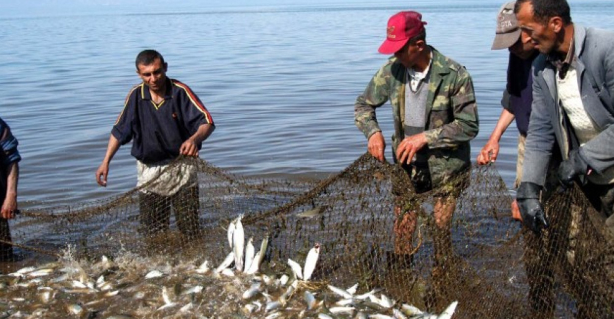 Սեւանա լճից դուրս է բերվել 22 հատ ձկնորսական ցանց, առգրավվել է 5153 հատ «սիգ» տեսակի ձուկ
