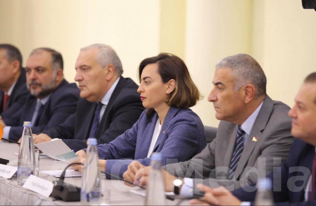 Парламентские группы дружбы Армения-Грузия встретились в Тбилиси