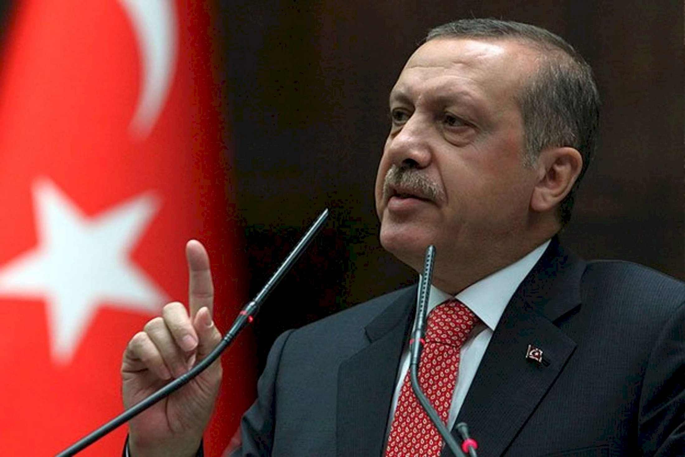 Эрдоган призвал как можно скорее начать поставки российского зерна на рынки