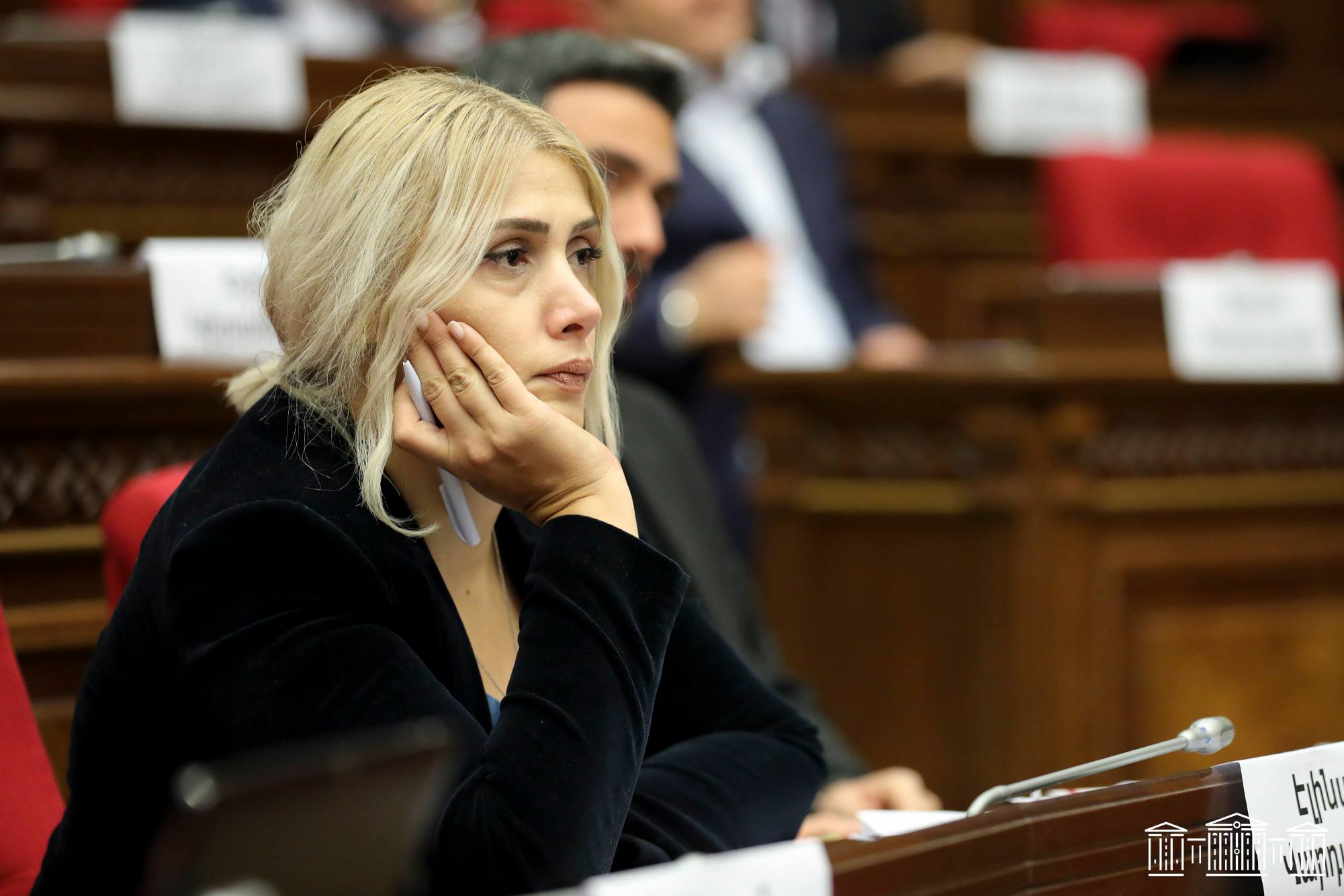 Элинар Варданян: Стратегия «разделяй и властвуй» стала основой госуправления в Армении