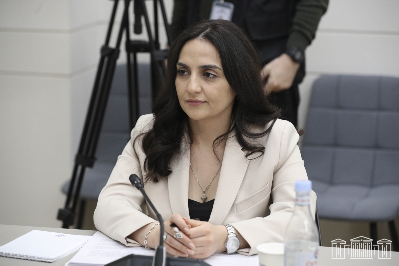 Ալխաս Ղազարյանն առաջադրվել է ԱԺ փոխնախագահի թեկնածության համար