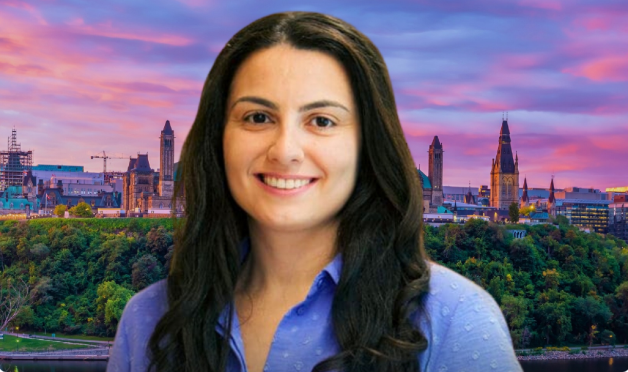 Ани Залинян избрана депутатом парламента Нидерландов