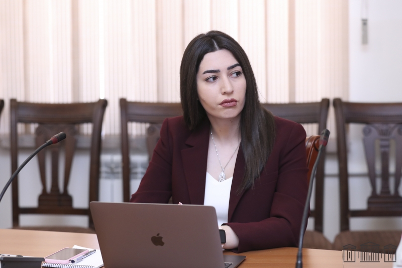 Տարվա կտրվածքով ունենք սպանության 50 դեպք, որը համաշխարհային միջինից 2 անգամ քիչ է