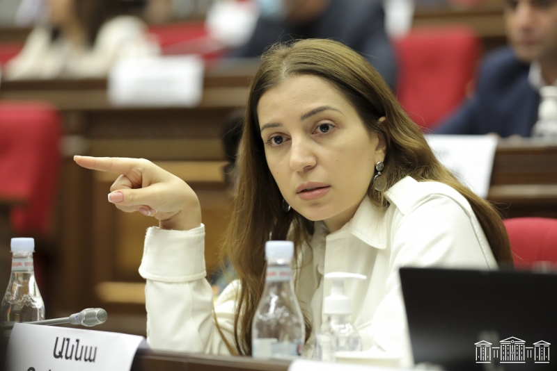 Анна Григорян: Оппозиция будет настаивать на отставке Алена Симоняна