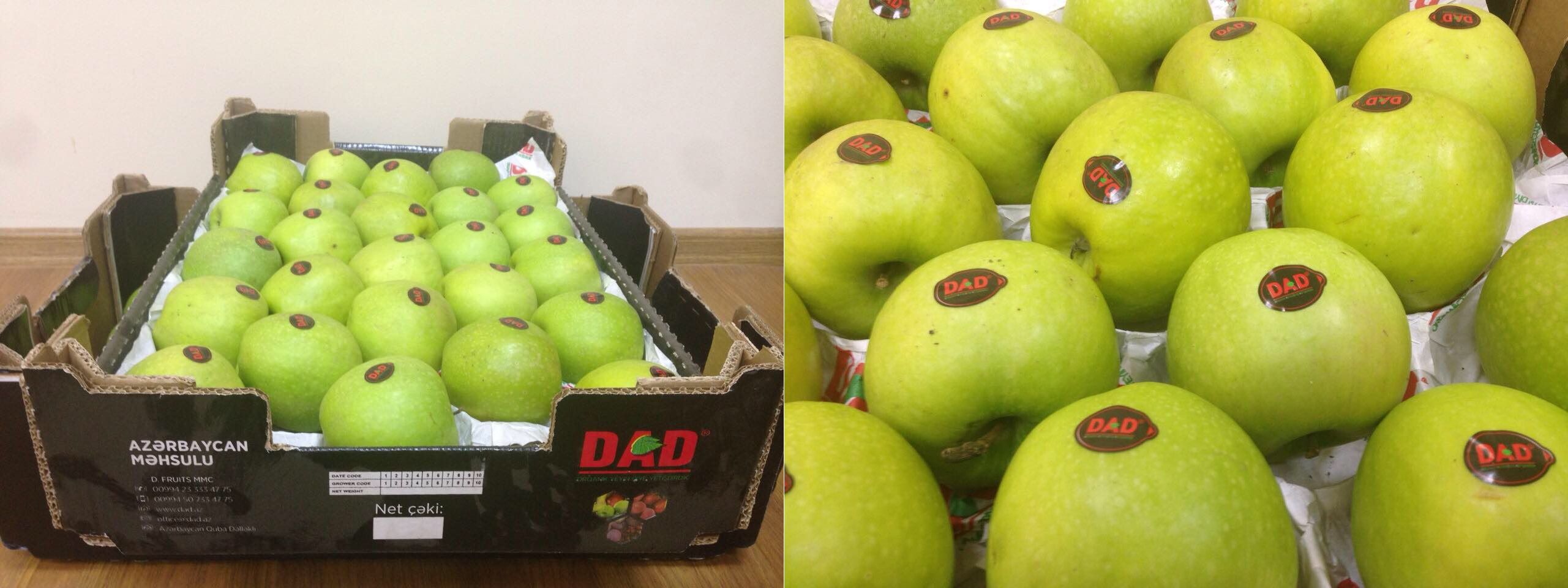 По факту незаконного импорта азербайджанских яблок в Армению возбуждено уголовное дело