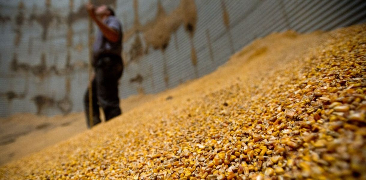 Удар по экономике Армении: Грузия вводит ограничение на импорт зерна