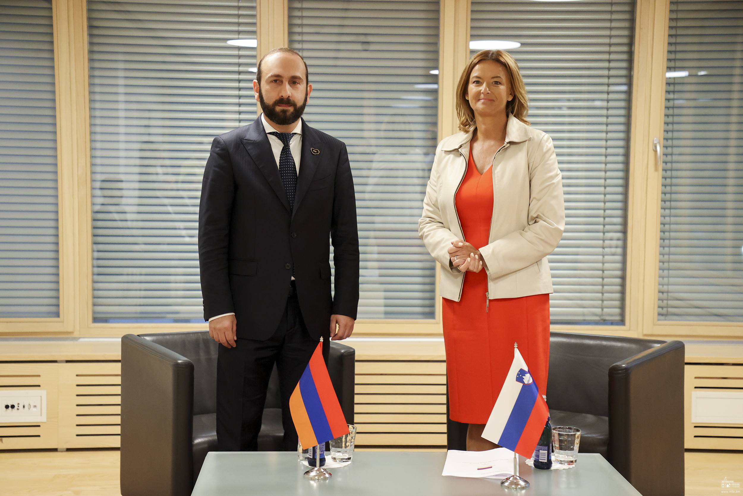 Главы МИД Армении и Словении обсудили вопросы региональной безопасности