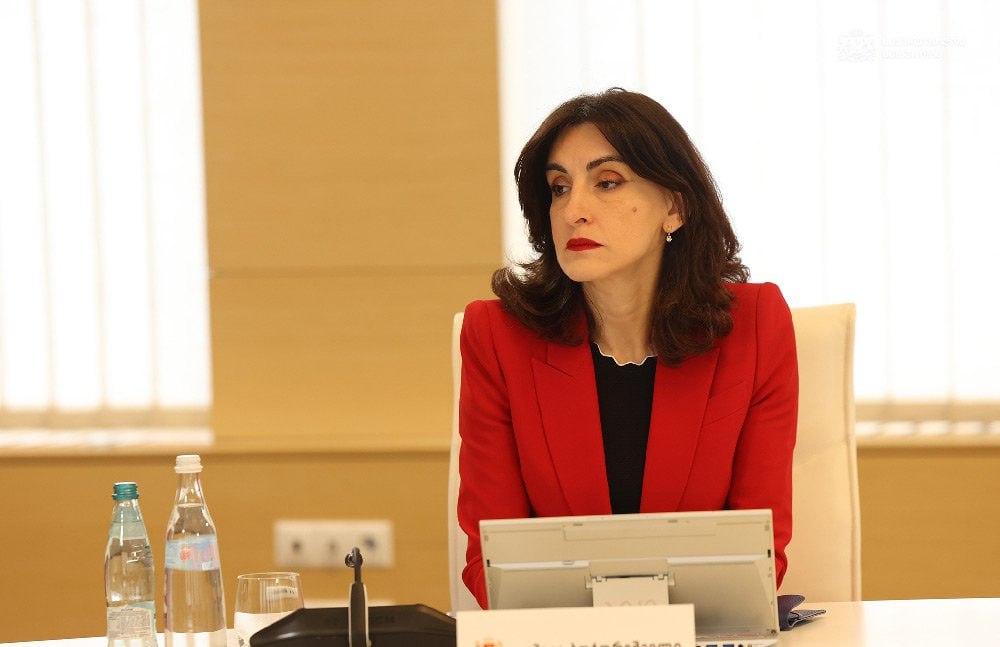 Приостановка безвиза с Грузией станет огромной стратегической ошибкой со стороны ЕС — глава МИД