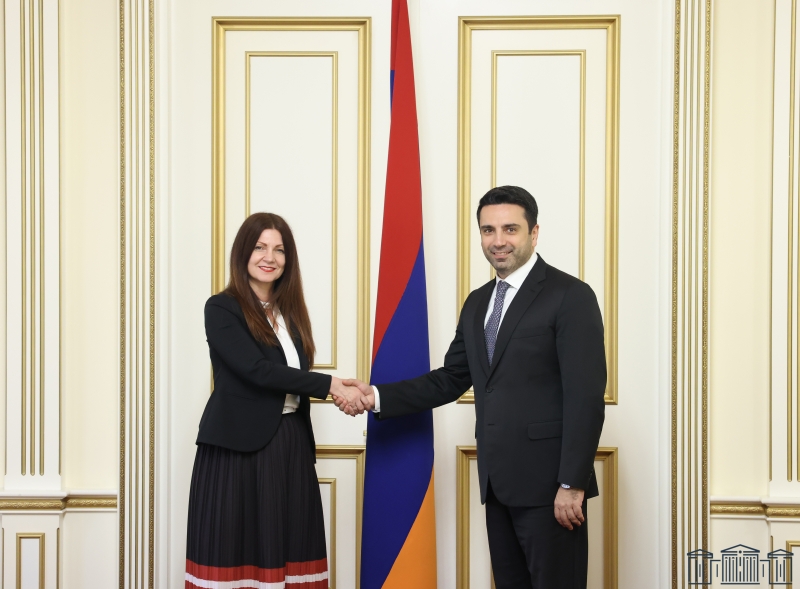 Симонян и посол Сербии обсудили вопросы установления мира и безопасности в регионе