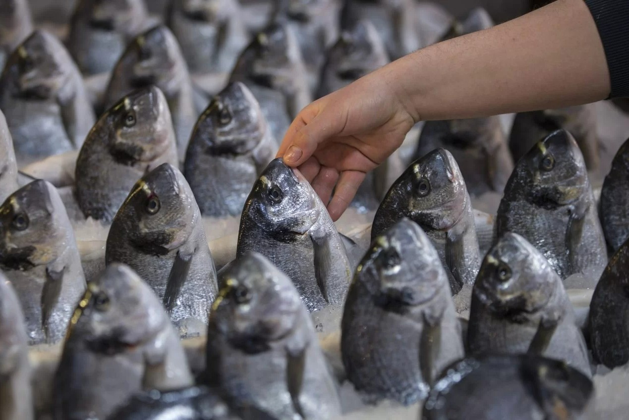 Армения впервые начнет экспорт рыбы и морепродуктов в ЕС - министр