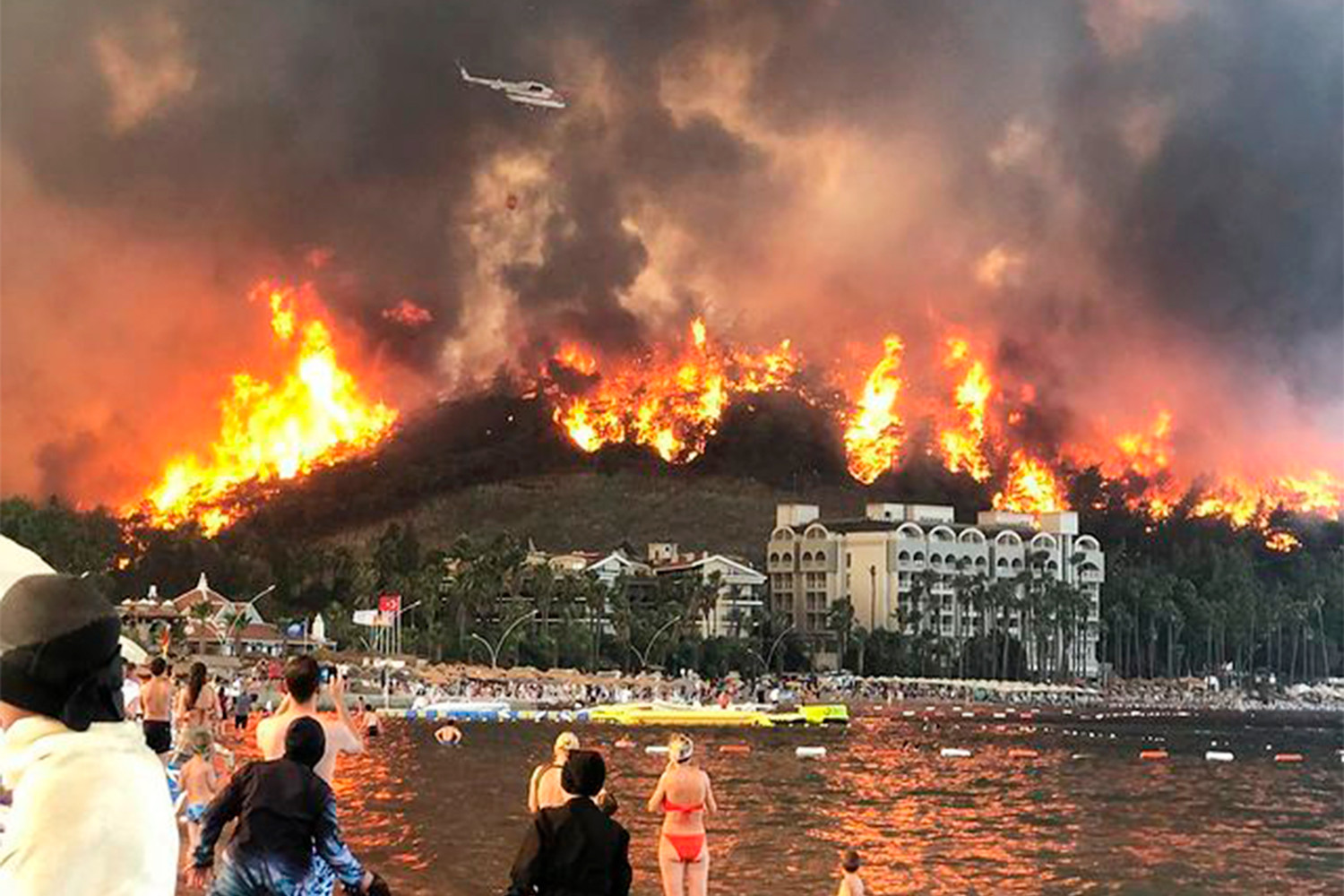 «Дети огня» взяли на себя ответственность за поджог лесов в Турции - СМИ